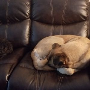 Meet your Posher, Melanie